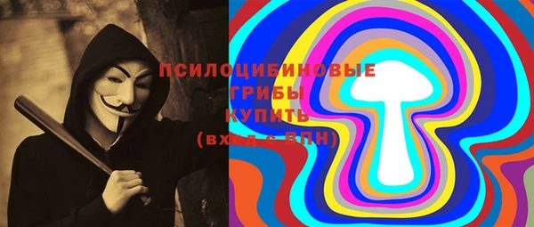 гидра Алексин