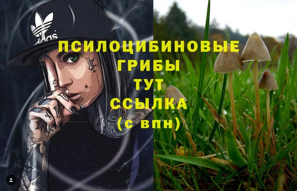 мескалин Алзамай
