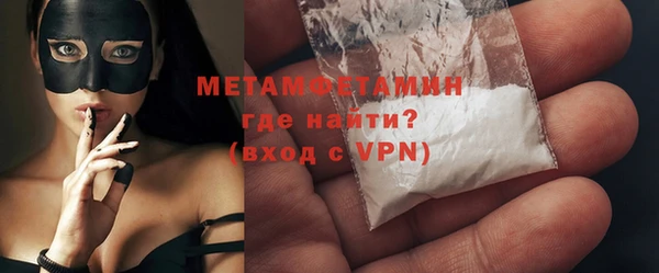 прущие грибы Семикаракорск
