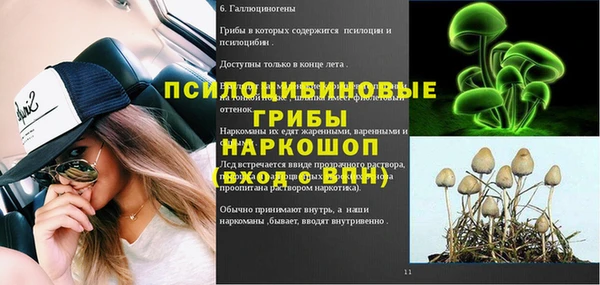 гидра Алексин