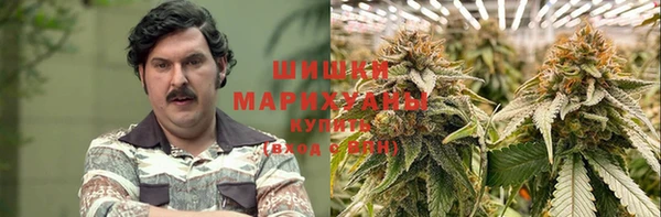 прущий лед Абаза