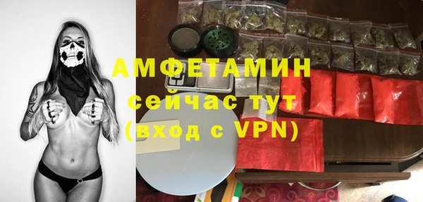 ГАЛЛЮЦИНОГЕННЫЕ ГРИБЫ Семёнов