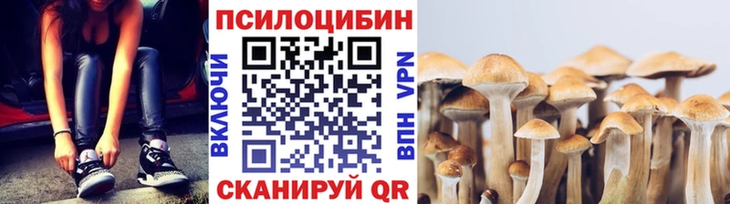 Галлюциногенные грибы Cubensis  как найти наркотики  Пенза 